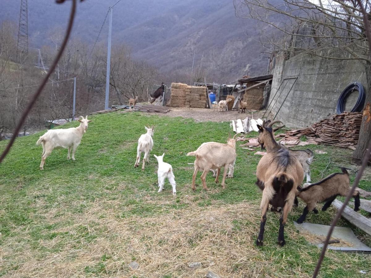 Milky'S House Villa Isola del Cantone Екстериор снимка